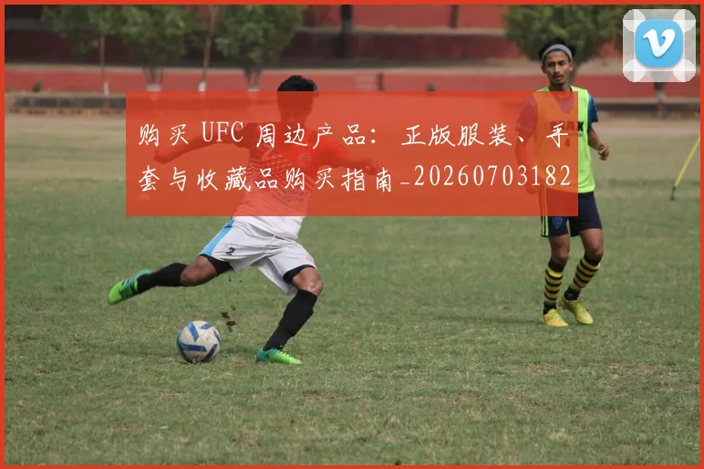 购买 UFC 周边产品：正版服装、手套与收藏品购买指南_20260703182002