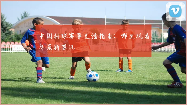 中国排球赛事直播指南：哪里观看与最新赛况