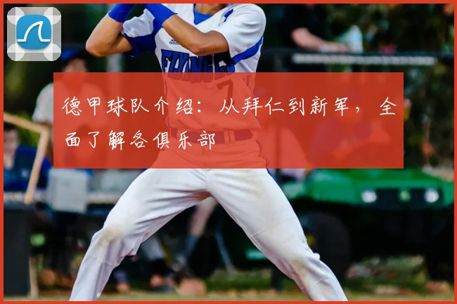 德甲球队介绍：从拜仁到新军，全面了解各俱乐部