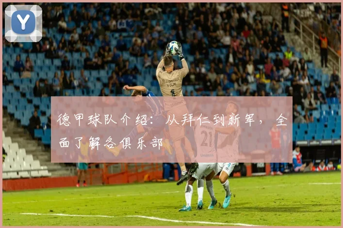 德甲球队介绍:从拜仁到新军,全面了解各俱乐部